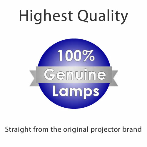 Genuine Branded projector lamp