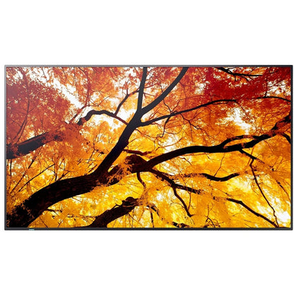 Sharp PN-M SERIES DISPLAYS