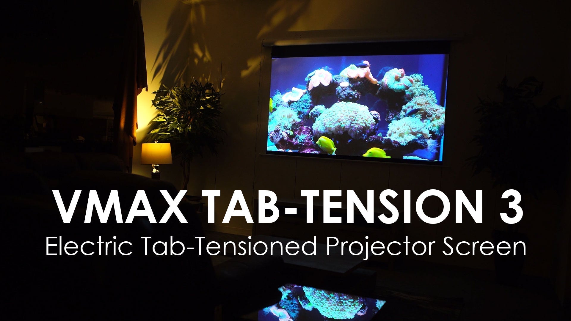 tab-tensioned 3