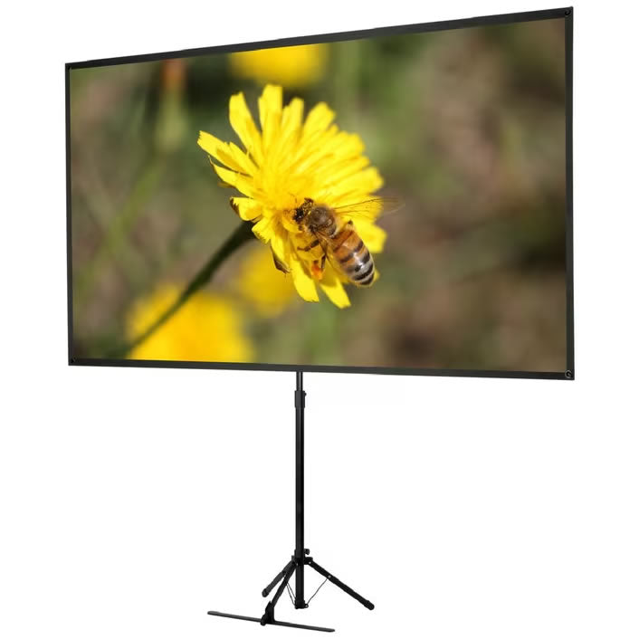 Epson ELP-SC21  tripod screen